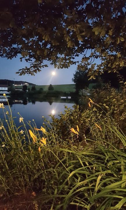 Fischerstuberl Furtweiher